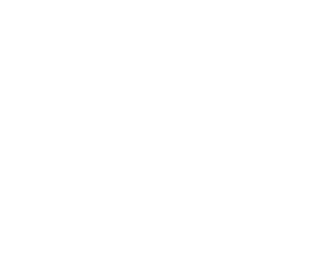 SRX TRAVEL